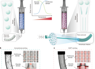 In situ particle-to-fibre transformation of hydrogels for 3D printing – Nature