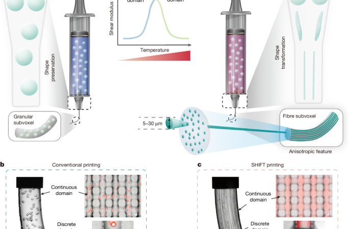 In situ particle-to-fibre transformation of hydrogels for 3D printing – Nature
