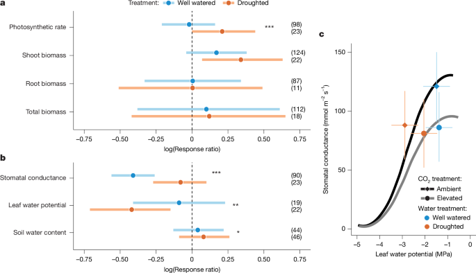 Increasing CO2 levels fertilize C4 grass production – Nature