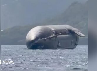 ‘Incredible’: SpaceX rocket spotted off Christmas Island coast