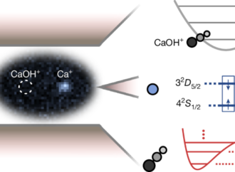 Infrared absorption spectroscopy of a single polyatomic molecular ion – Nature