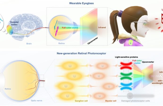 Infrared glasses could push the boundaries of human eyesight