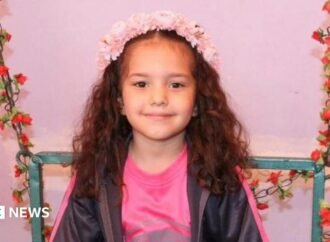 Israeli army orders criminal investigation into killing of Palestinian girl Hind Rajab in Gaza