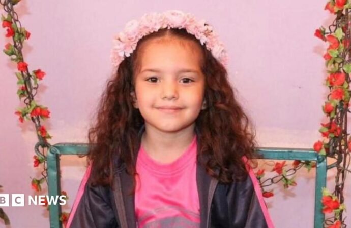 Israeli army orders criminal investigation into killing of Palestinian girl Hind Rajab in Gaza