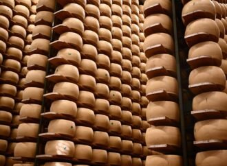 Italy’s $4.7 billion cheese economy is feeling the heat as climate change threatens its cheese banks that hold Parmigiano wheels as loan collateral | Fortune