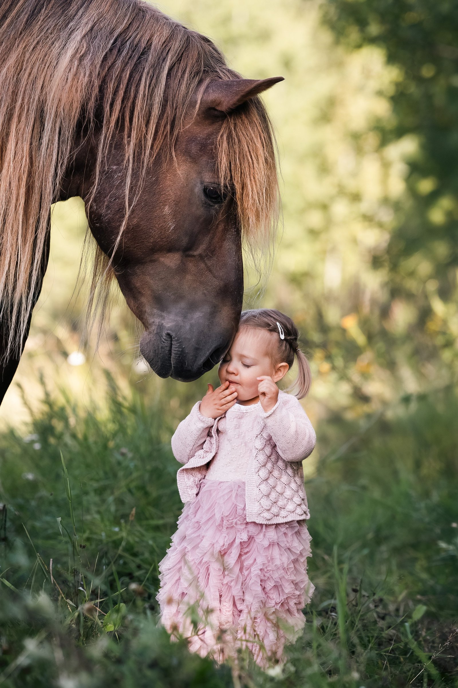 small child with horse