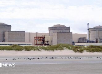 Jellyfish force partial shutdown of France’s Gravelines nuclear plant