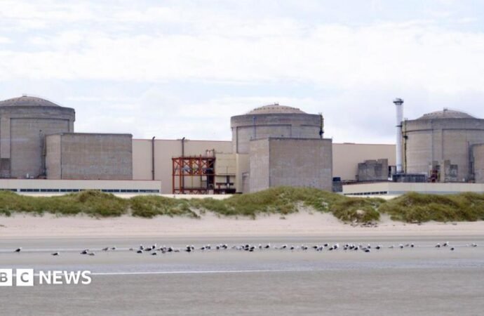 Jellyfish force partial shutdown of France’s Gravelines nuclear plant