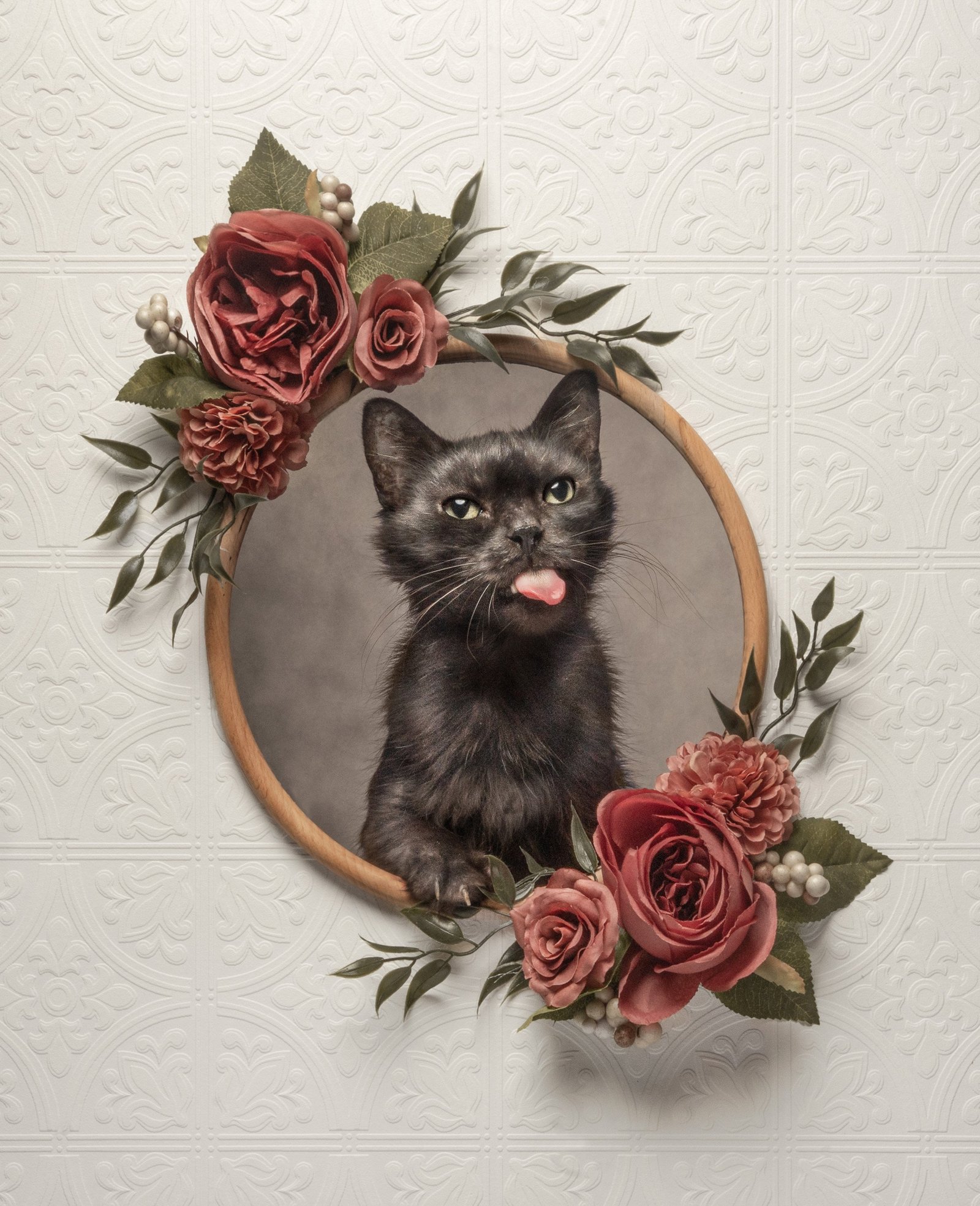 portrait of black kitten with tongue sticking out