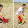 Kidnapped rare Serbian eagle freed into wild after rescue