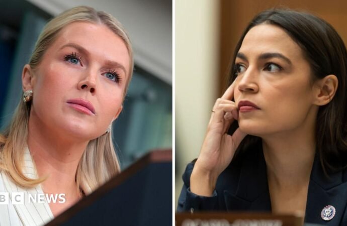 Leavitt and Ocasio-Cortez spark conversation on challenges of family and career