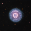 Lion Nebula Roars to Life With NASA’s Webb – NASA Science