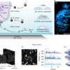 Luminescent-reaction-enabled super-resolution imaging – Nature