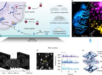 Luminescent-reaction-enabled super-resolution imaging – Nature