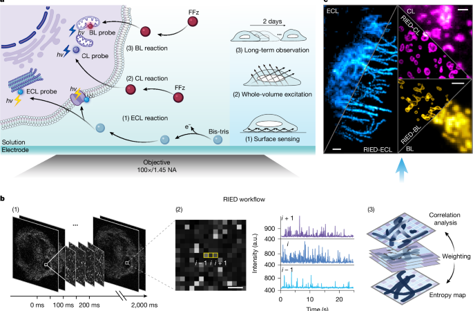 Luminescent-reaction-enabled super-resolution imaging – Nature