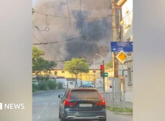 Major Russian grain export terminal hit in Ukraine Black Sea port attack