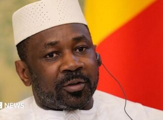 Mali coup plot: Presidential pardon for French alleged spy Yann Vezilier