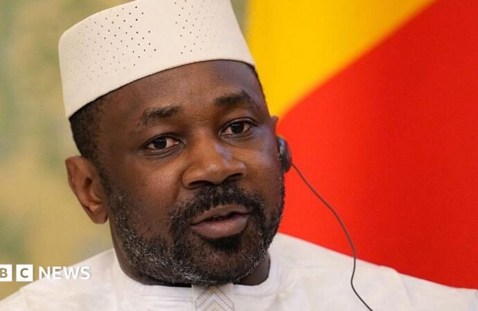 Mali coup plot: Presidential pardon for French alleged spy Yann Vezilier