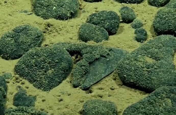 Massive, metal-encrusted megalodon teeth litter deep ocean floor