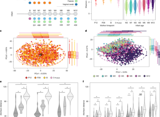 Maternal influences on infant gut microbiome and health – Nature