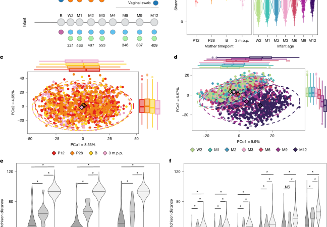 Maternal influences on infant gut microbiome and health – Nature