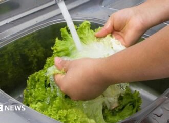 Michigan reports first two deaths linked to cyclospora outbreak