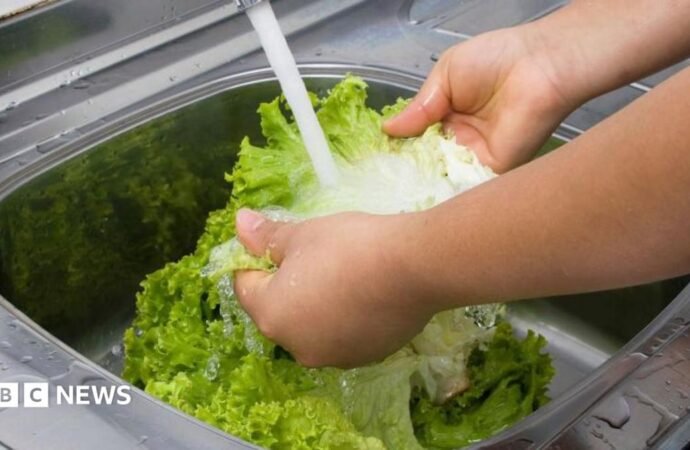 Michigan reports first two deaths linked to cyclospora outbreak