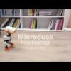 Microduck is a robot built to fall down—and learn new tricks