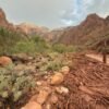More storms possible at Grand Canyon where a flash flood killed at least 2 people, others missing
