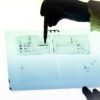 More than 18,000 questionable images found in antibody catalogues of 15 companies