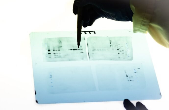 More than 18,000 questionable images found in antibody catalogues of 15 companies