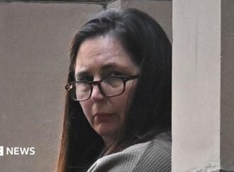 Mushroom murderer Erin Patterson is appealing – here’s what you need to know