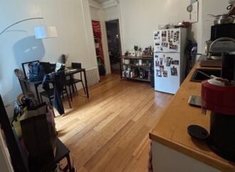 My rent-stabilized NYC apartment doesn’t even have a bathroom sink, but I can never leave the 380-square-foot gem