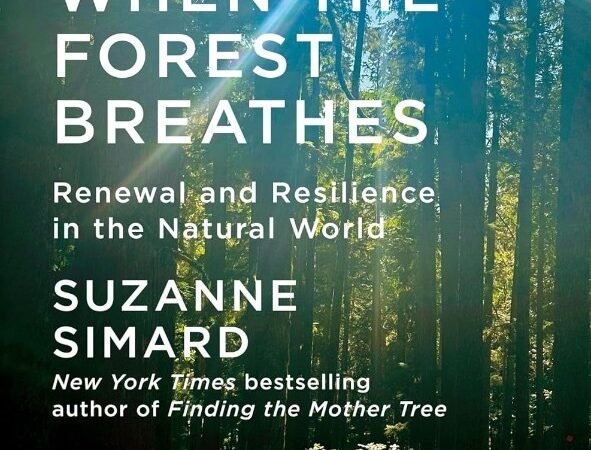 Mysteries of the deep and AI friendship: Books in brief