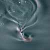 Mysterious shark spotted near the Galápagos Islands for the first time in over 20 years