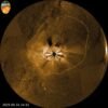 NASA’s PUNCH Sharpens Solar Storm Forecasting in First Test
