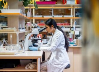 NSF rolls out ‘industry PhD’ programme — joining a global trend