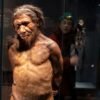 Neanderthal gene makes some modern humans taller and more muscular