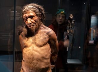Neanderthal gene makes some modern humans taller and more muscular