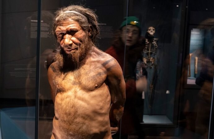 Neanderthal gene makes some modern humans taller and more muscular