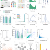 Neural basis of compositional control – Nature