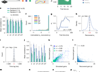 Neural basis of compositional control – Nature