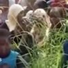 Nigeria kidnappings: President Bola Tinubu orders manhunt after victim video uploaded