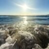 Ocean temperatures set to break all-time record: what’s next?