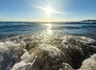 Ocean temperatures set to break all-time record: what’s next?