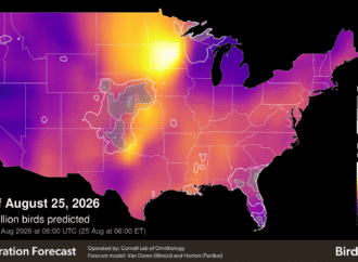 Over 200 million migratory birds are hitting the sky this week
