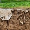 ‘Proof by Underpants’ offers a cheeky way to test soil