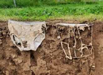 ‘Proof by Underpants’ offers a cheeky way to test soil