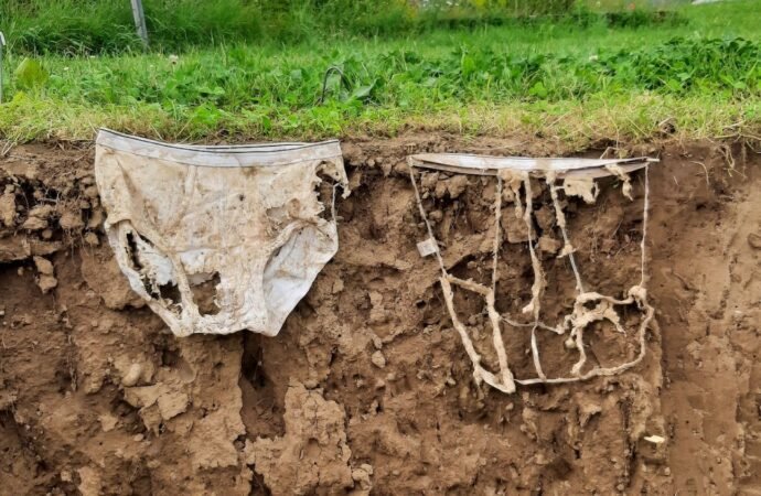 ‘Proof by Underpants’ offers a cheeky way to test soil