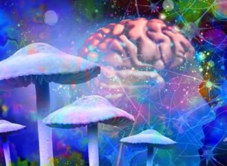 Psilocybin Might Make Your Brain Live in the Moment